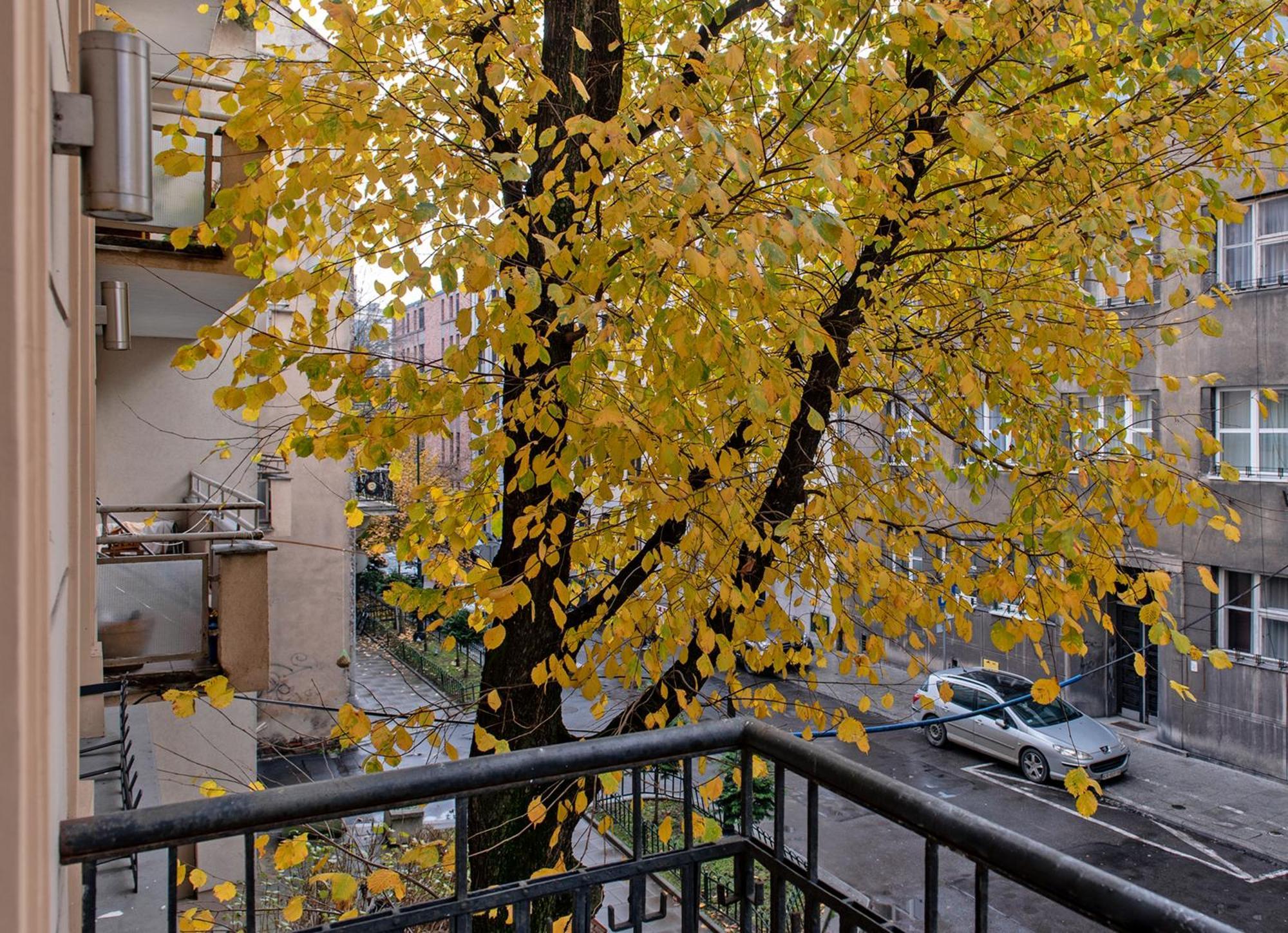 3D Wygoda Apartamenty 克拉科夫 客房 照片